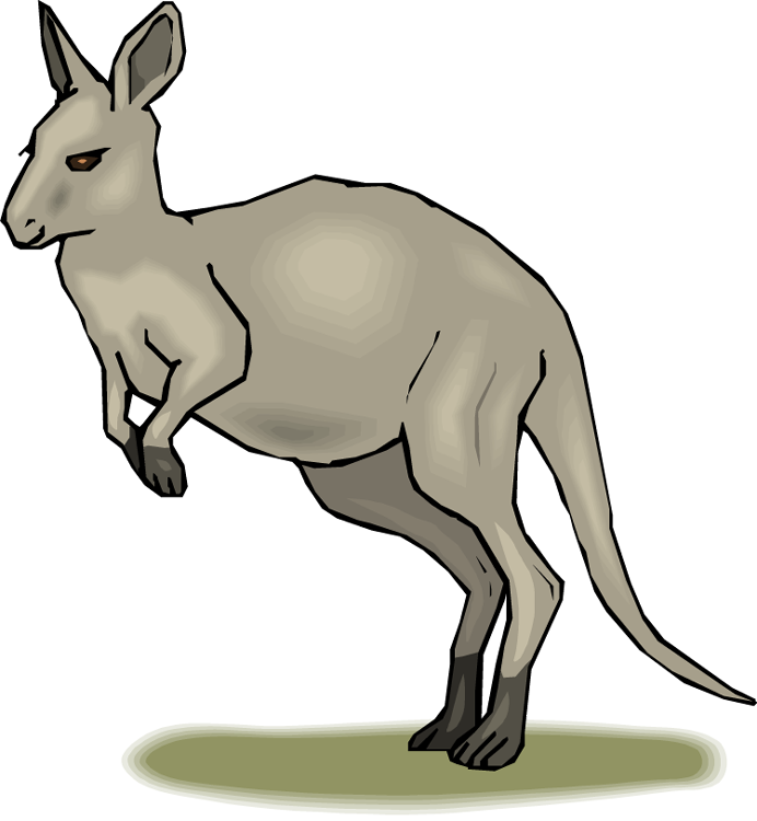 Kangaroo Cartoon Illustration PNG image