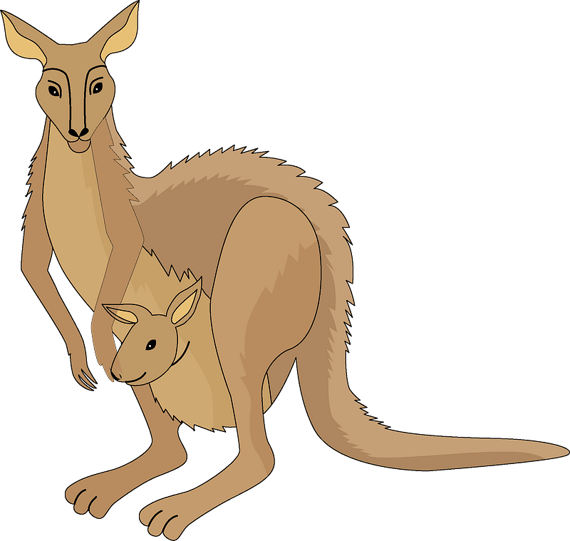 Kangarooand Joey Cartoon PNG image