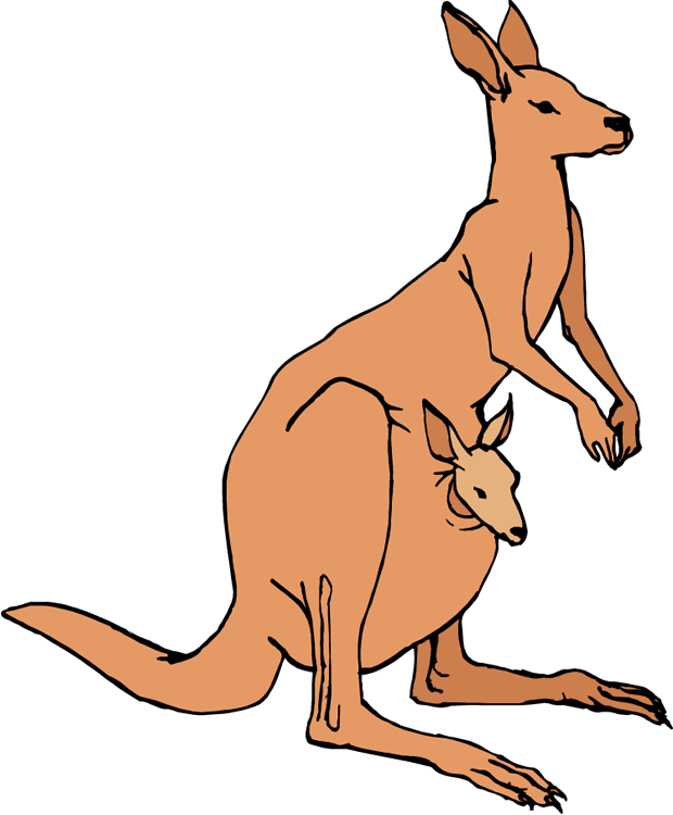 Kangarooand Joey Illustration PNG image