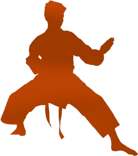 Karate Silhouette Stance.png PNG image