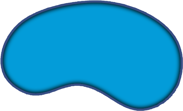 Kidney Bean Shaped Object PNG image