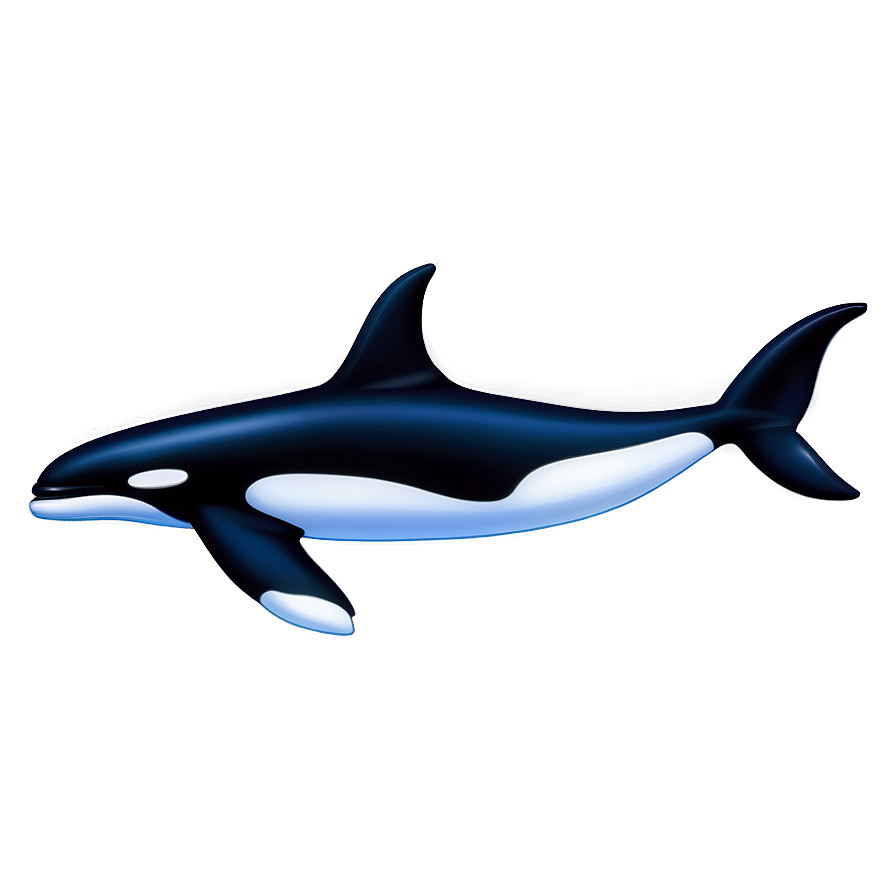 Killer Whale Png Fnn PNG image