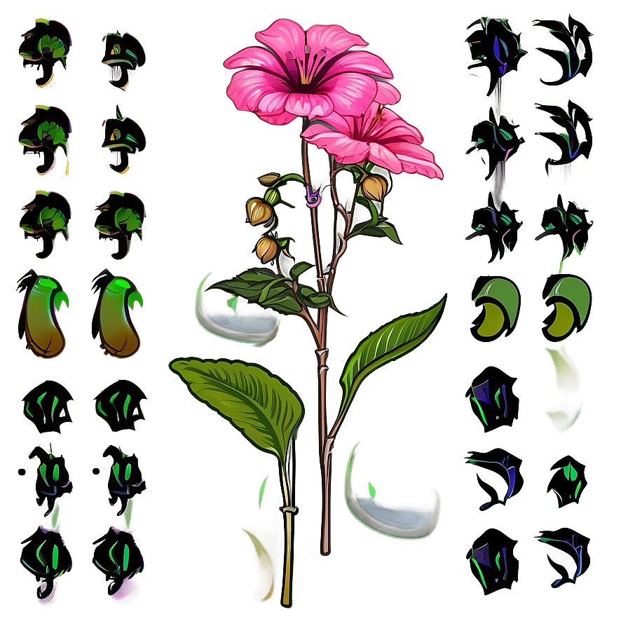 Kimilsungia Flower Png Usk PNG image