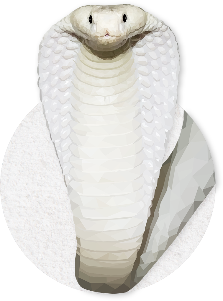 King Cobra Illustration PNG image