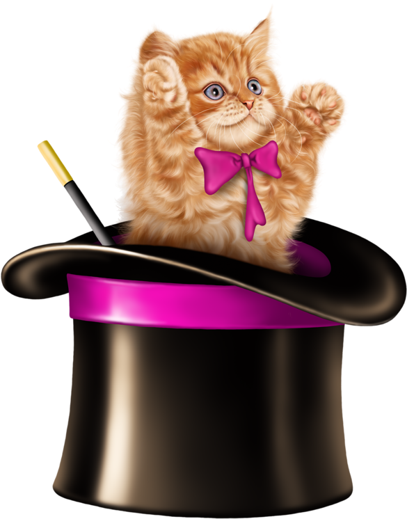 Kitten Magician Emerging From Hat PNG image