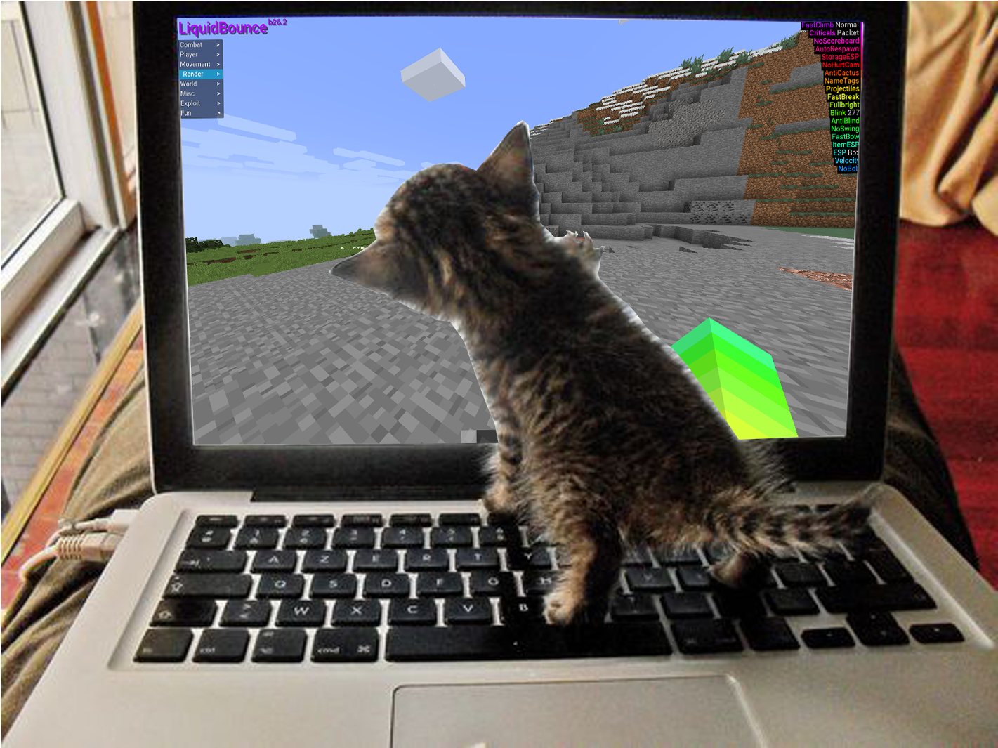 Kitten Playing Minecraft Laptop PNG image