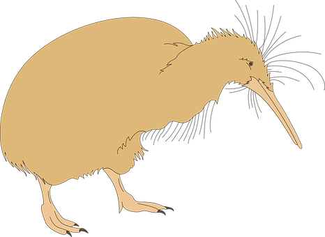 Kiwi Bird Silhouette PNG image