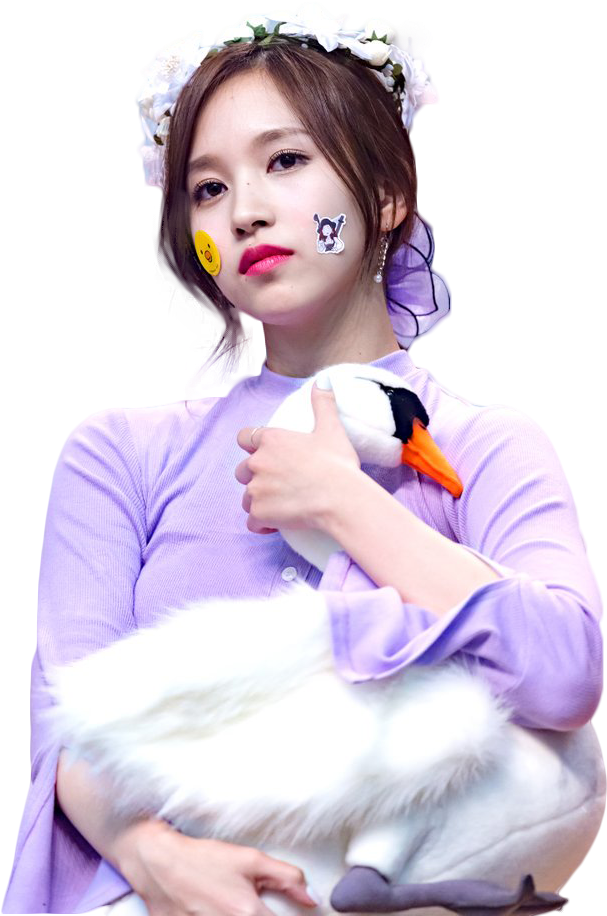 Kpop Star With Stuffed Swan PNG image