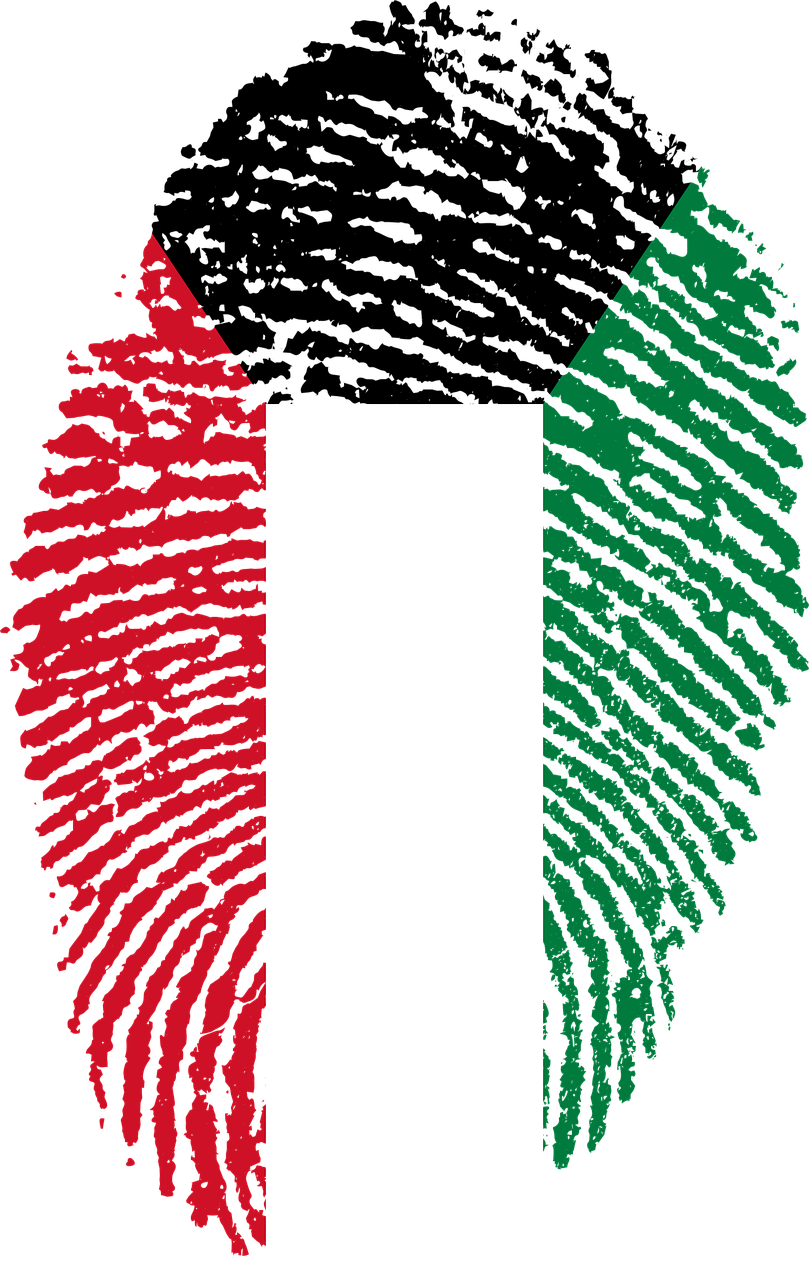 Kuwait Fingerprint Flag Art PNG image