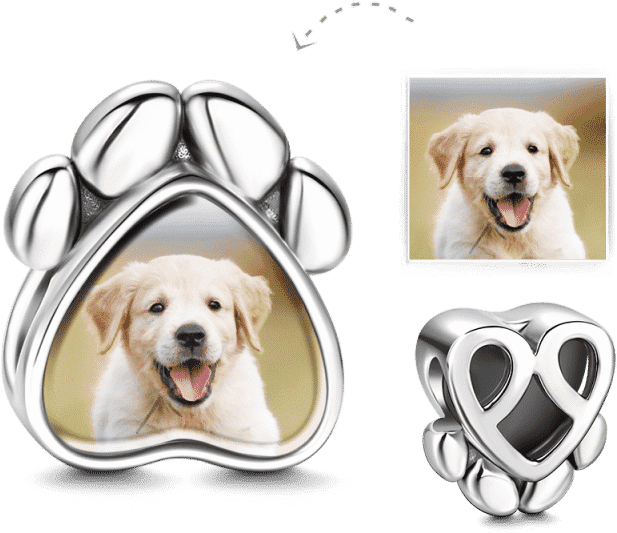 Labrador Puppy Paw Print Charms PNG image