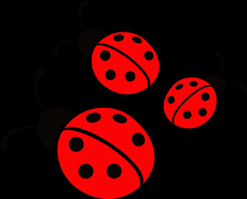 Ladybug PNG image