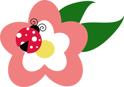 Ladybugon Flower Vector PNG image