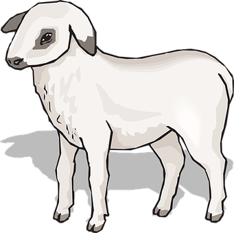 Lamb_ Illustration_with_ Shadow PNG image