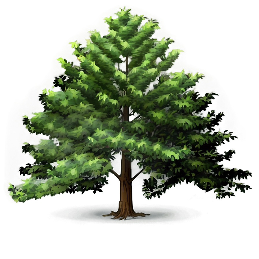 Landscape Tree Elevation Png 06262024 PNG image