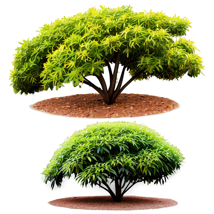 Landscaping Shrubs Png Udr8 PNG image