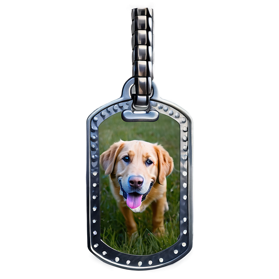 Large Dog Tags Png 72 PNG image