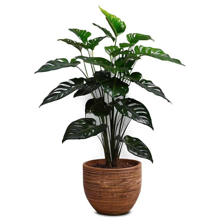 Large Floor Plant Png Qmo PNG image