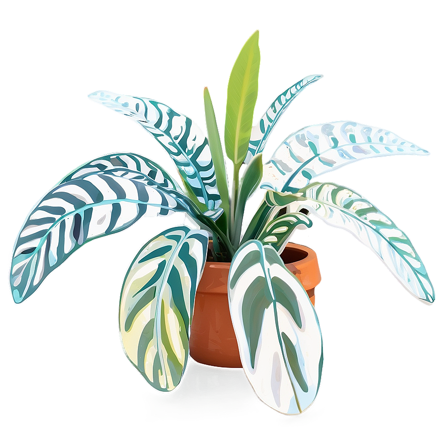 Large Indoor Plants Png Tpe PNG image