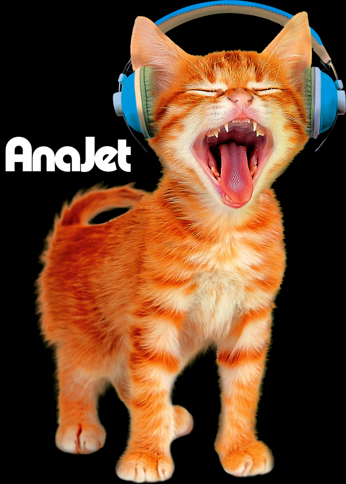 Laughing Orange Catwith Headphones PNG image
