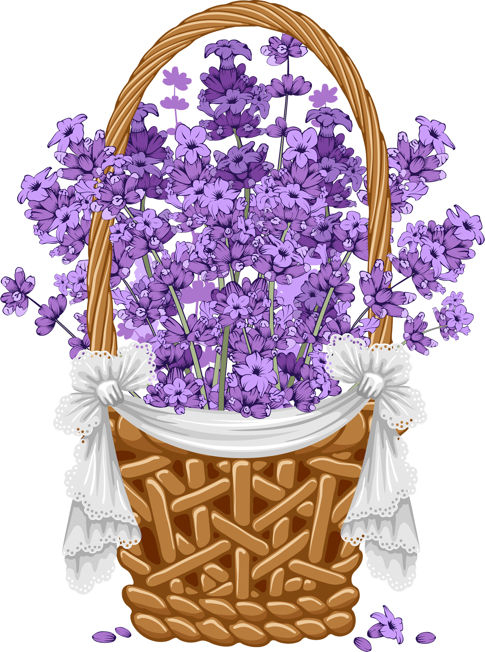 Lavender Basket Illustration PNG image