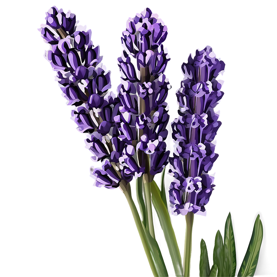 Lavender Bouquet Png 45 PNG image