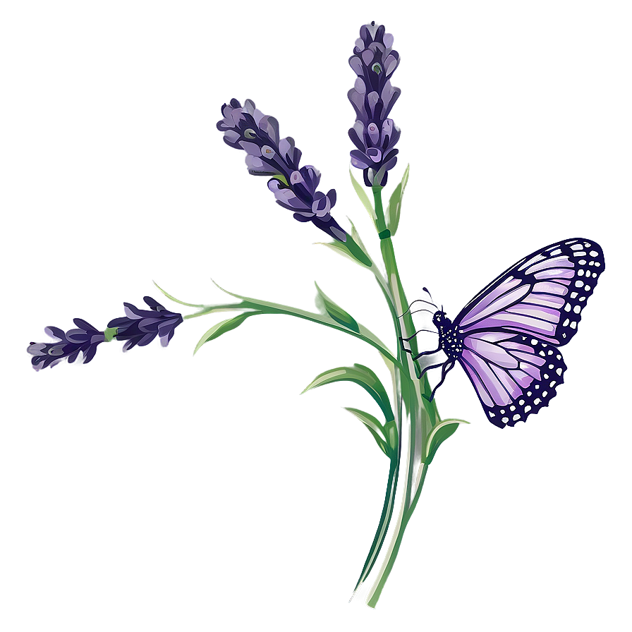 Lavender Butterfly Illustration Png 05232024 PNG image