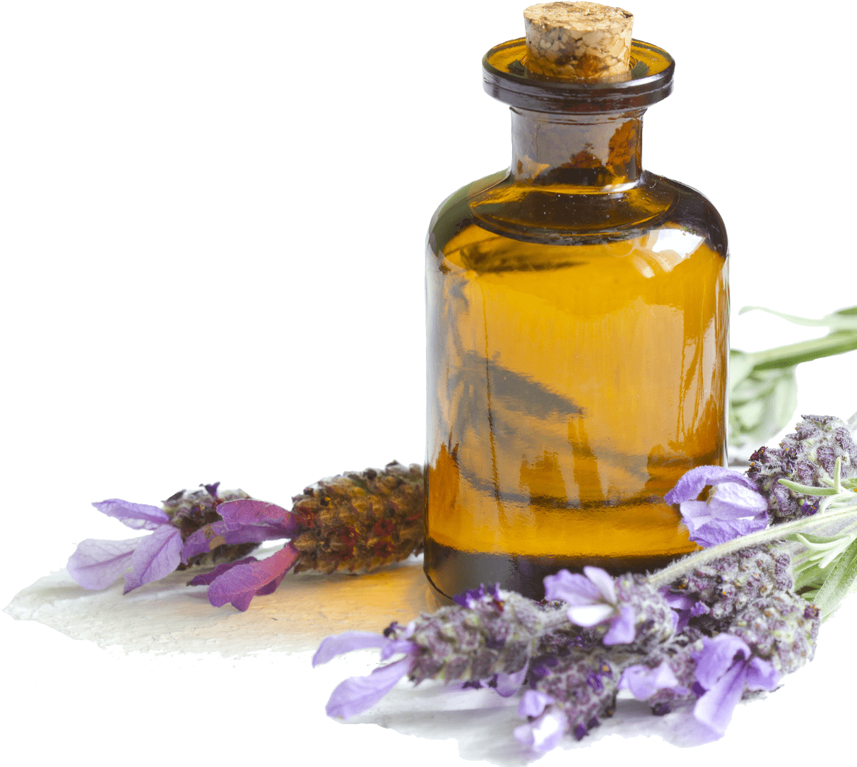 Lavender Essential Oiland Flowers.png PNG image