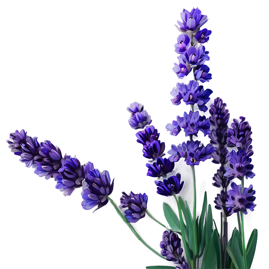 Lavender Floral Arrangement Png Vnh57 PNG image