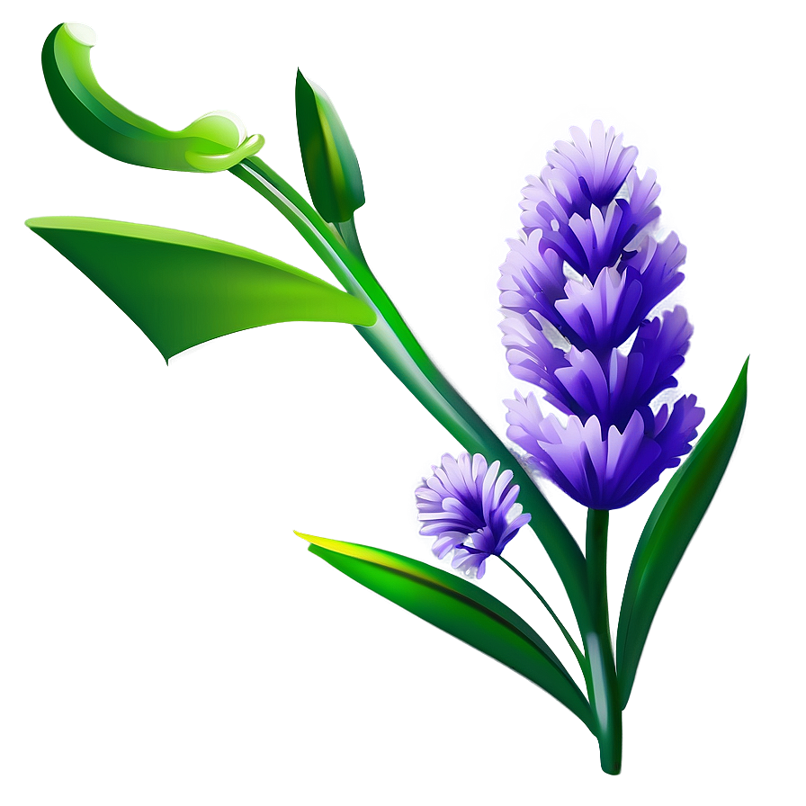 Lavender Flower Art Png 05252024 PNG image