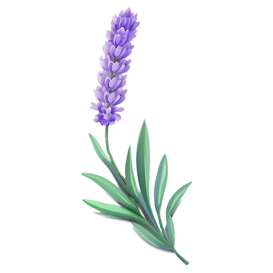 Lavender Flower Pattern Png 06132024 PNG image