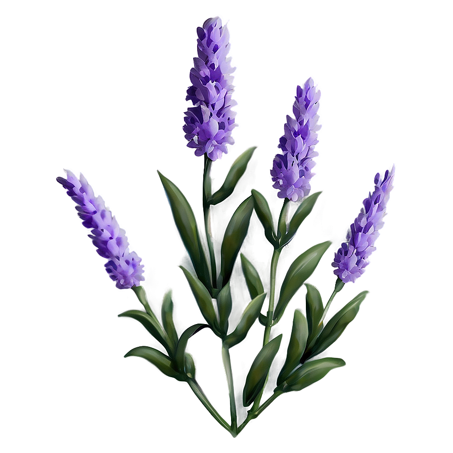 Lavender Flower Pattern Png 18 PNG image