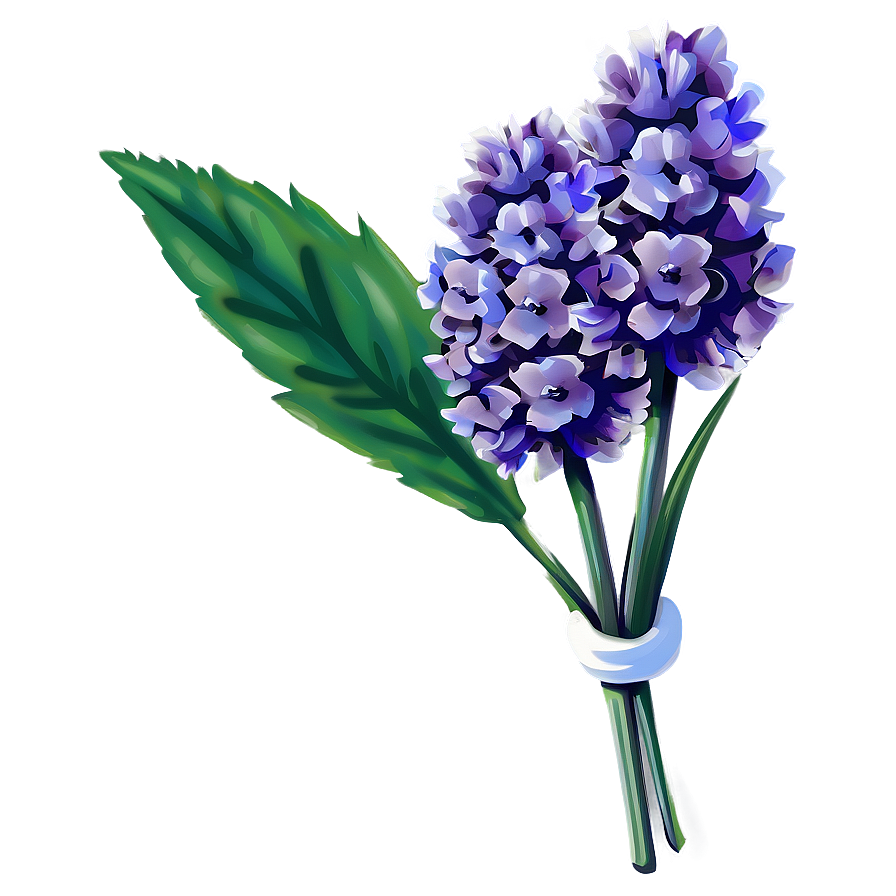 Lavender Flower Png Bjs25 PNG image