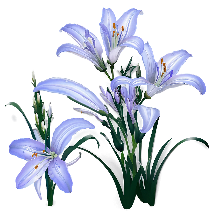 Lavender Lily Png Wvu PNG image