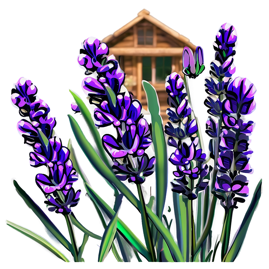 Lavender Nature Scene Png 06132024 PNG image