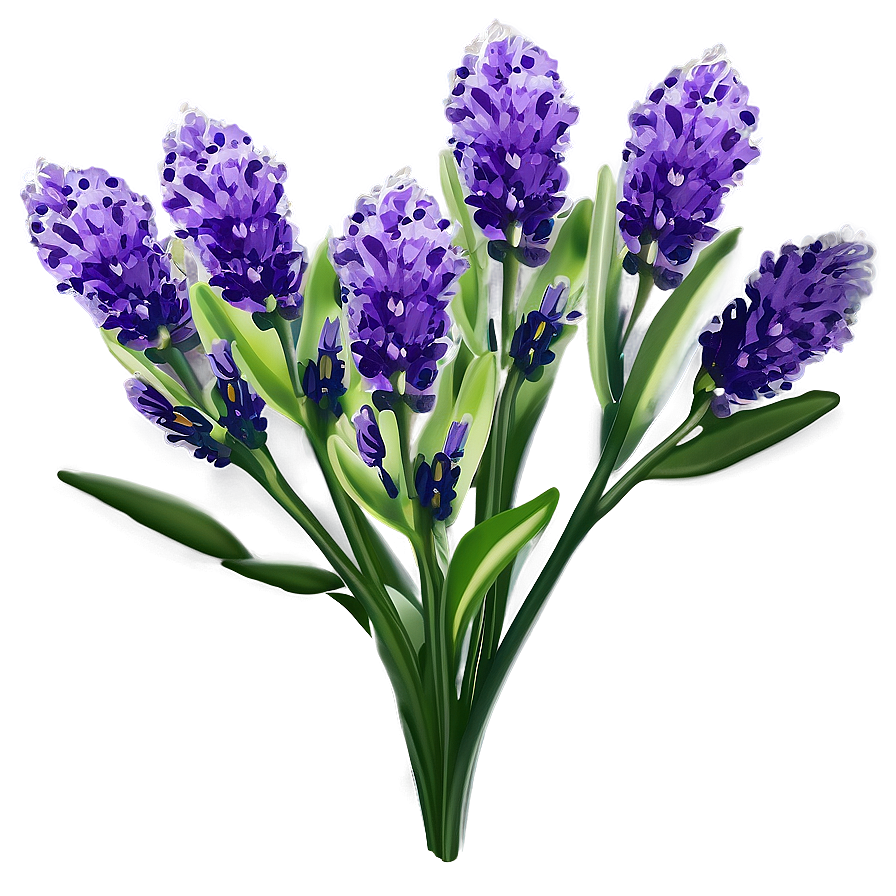 Lavender Plant B PNG image