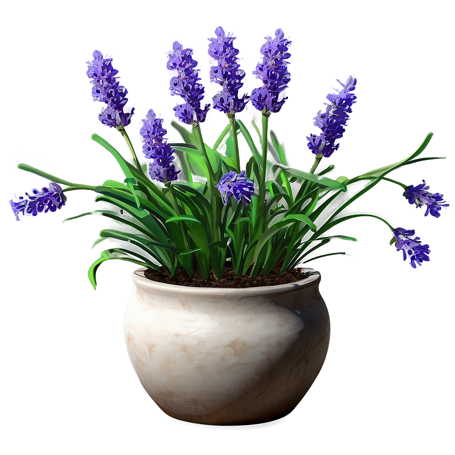 Lavender Pot Plant Png 16 PNG image