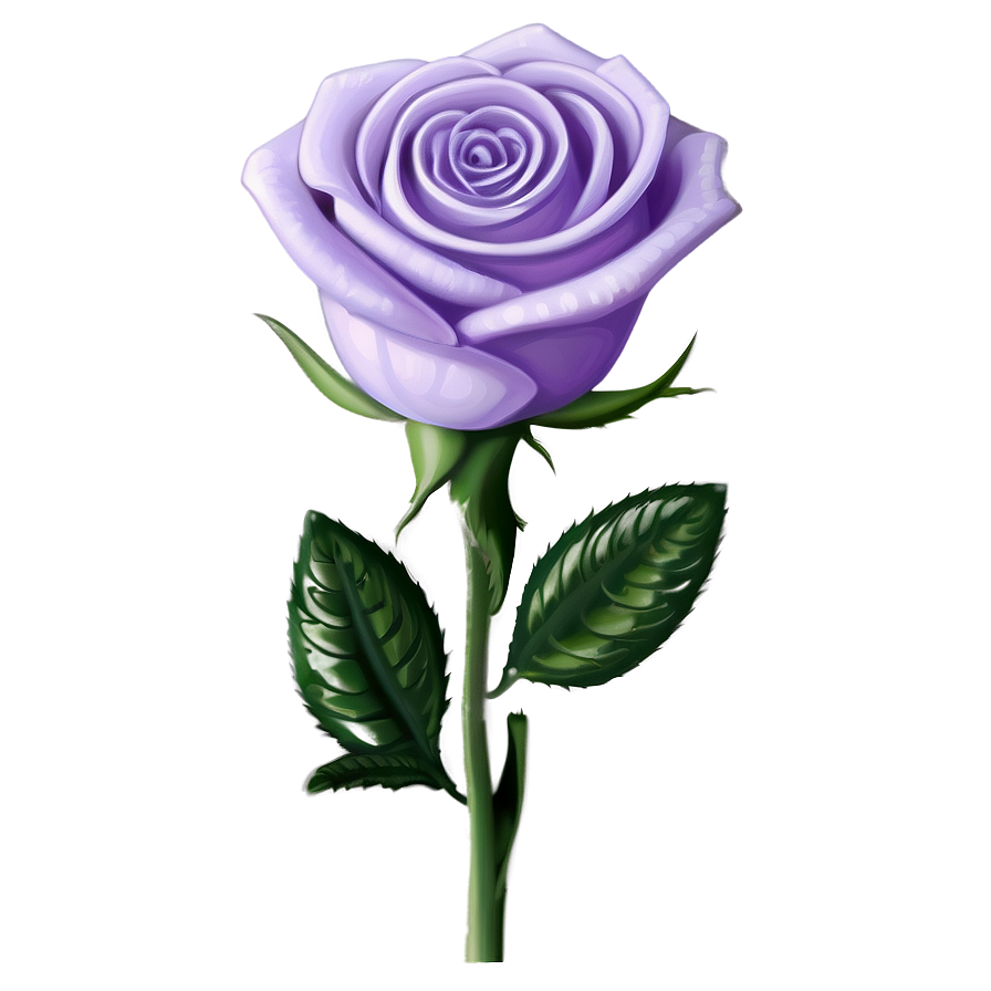 Lavender Rose Png Ygn PNG image