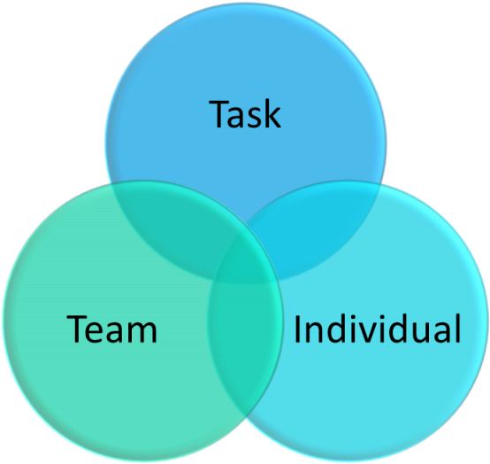 Leadership Team Task Individual Venn Diagram PNG image