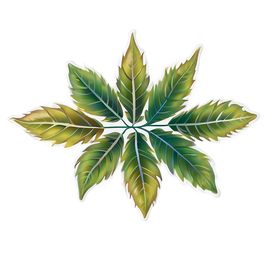 Leaf Border Png Bua PNG image