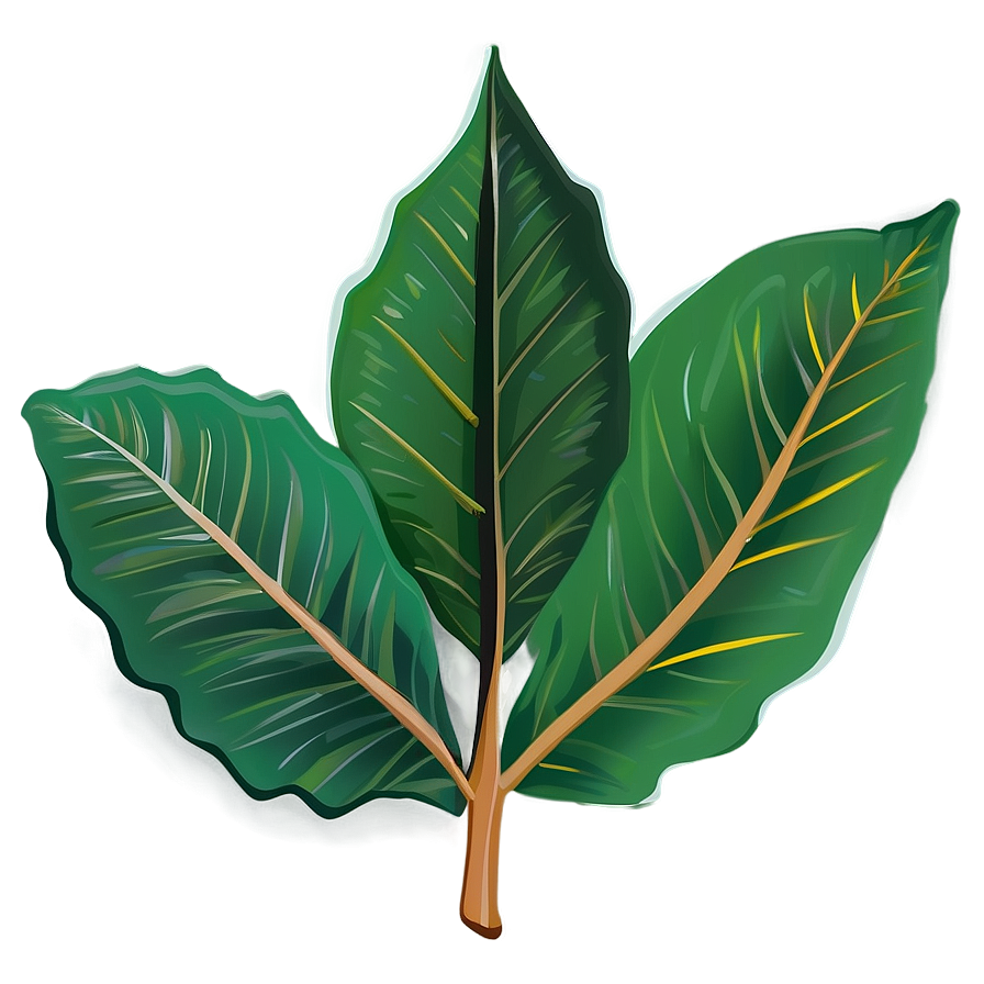 Leaf Cartoon Png Fge4 PNG image