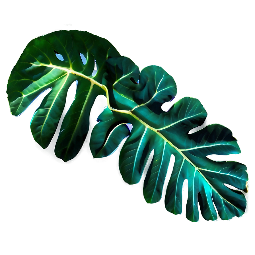 Leaf Outline Png Fte PNG image