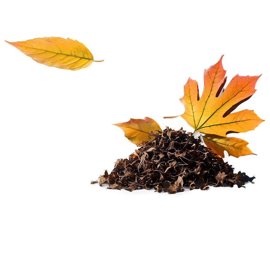Leaf Pile Fall Png 14 PNG image