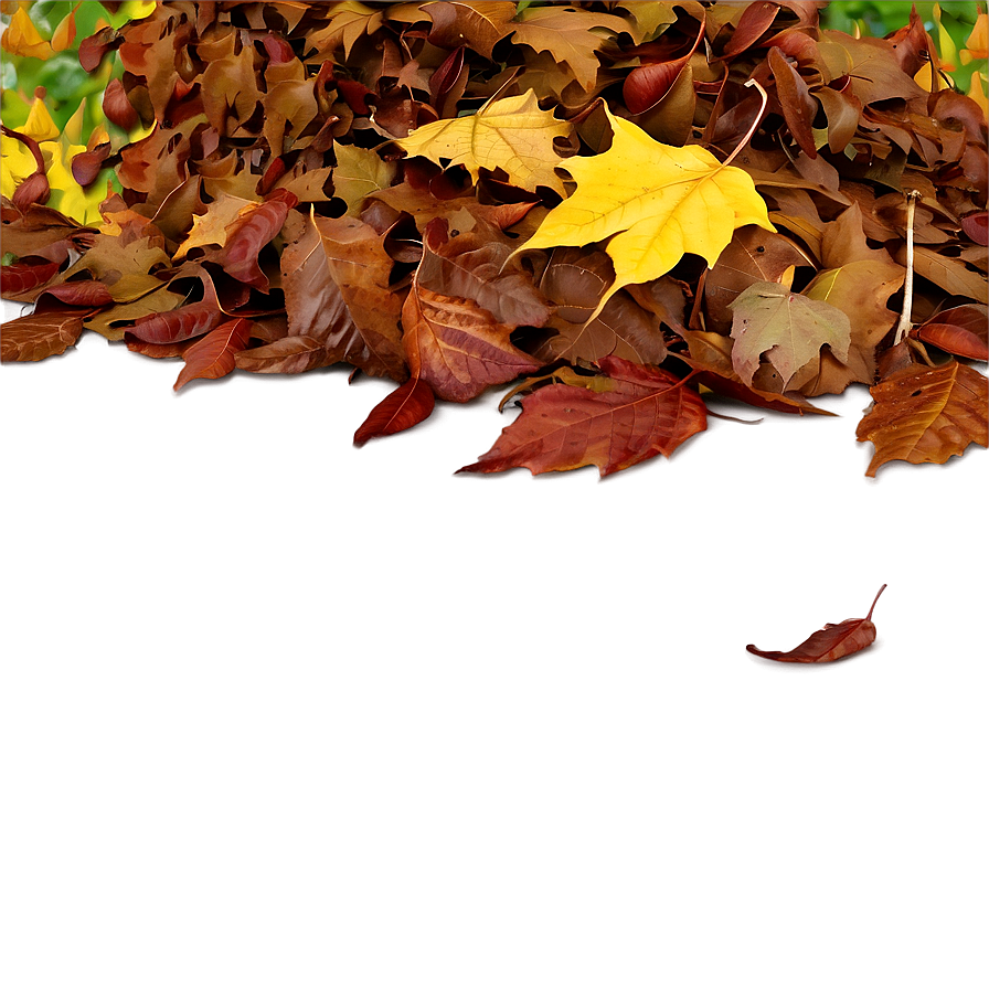 Leaf Pile In Park Png 78 PNG image