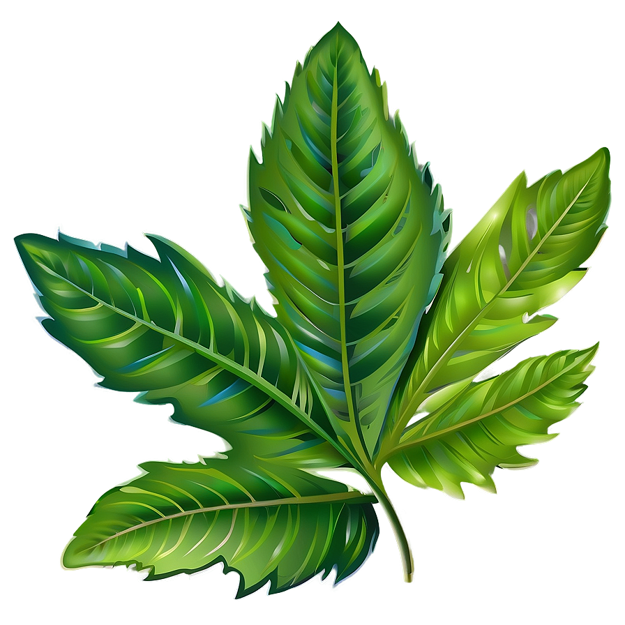 Leaf Vector Png Bsg PNG image