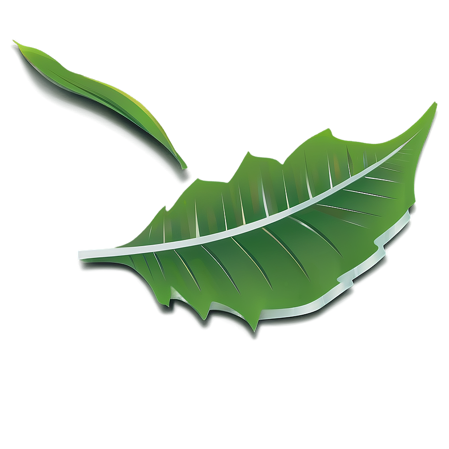 Leaf Vector Png Nvf19 PNG image