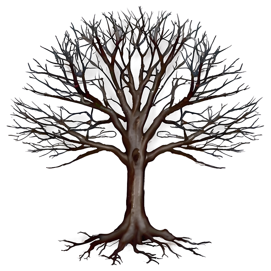 Leafless Tree Image Png 06282024 PNG image