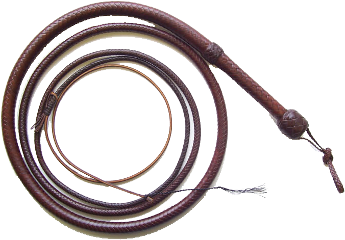 Leather Bullwhip Coiled PNG image