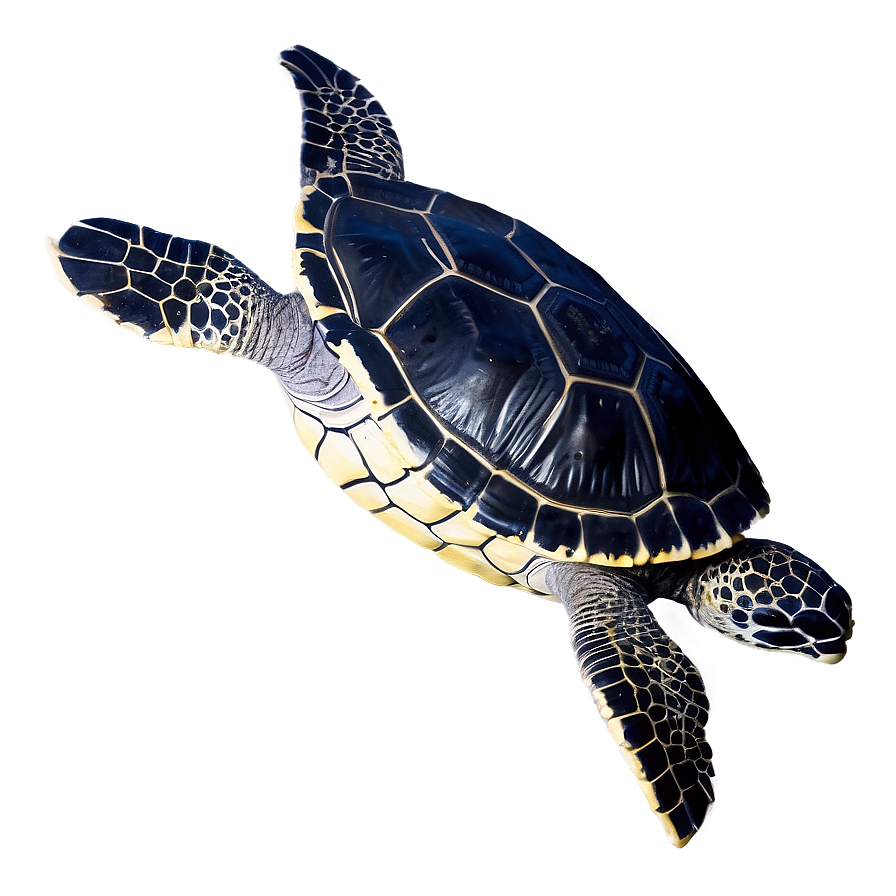 Leatherback Turtle Ocean Depths Png Lfy PNG image