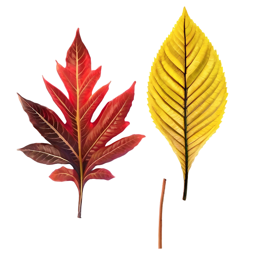 Leaves B PNG image