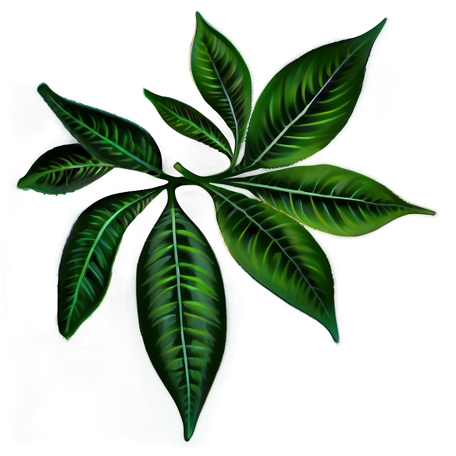 Leaves D PNG image